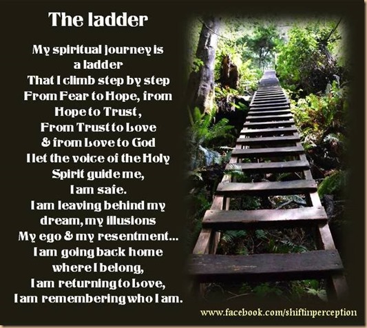 the ladder